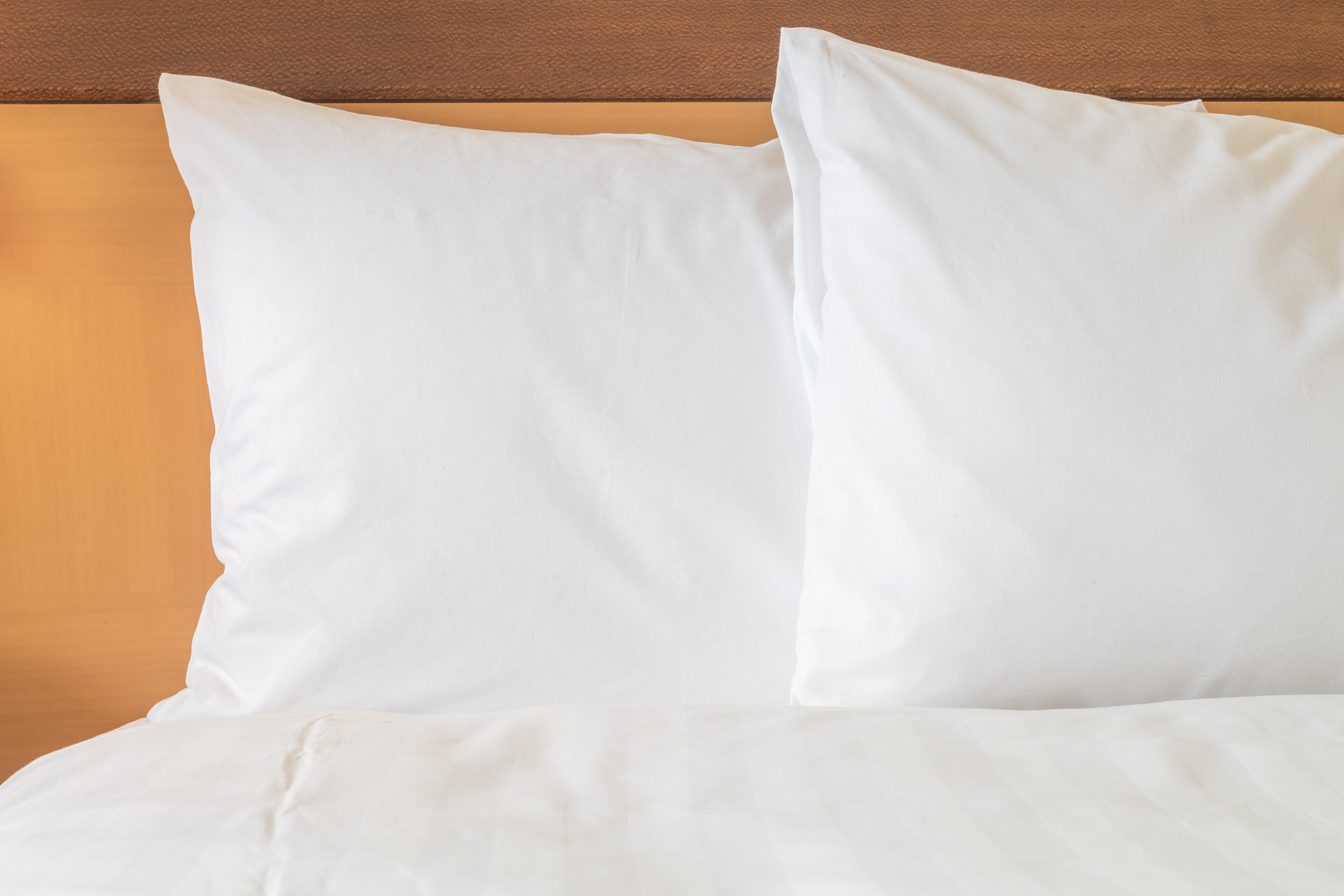Envision Hotel & Conference Center Mansfield-Foxboro Εξωτερικό φωτογραφία